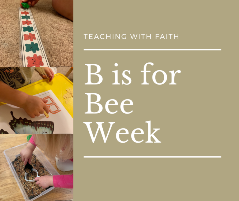 Letter B Week