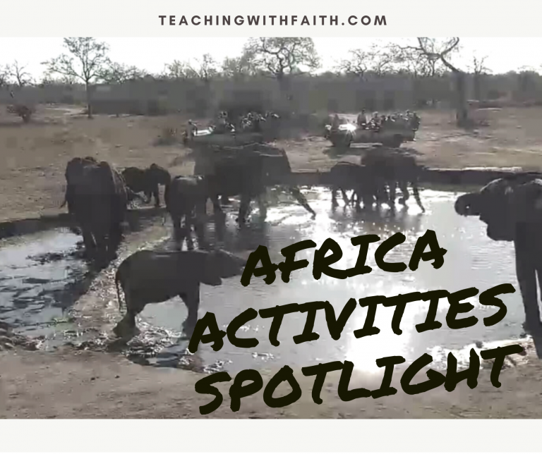 Spotlight: African Activities