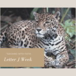 Letter J Week