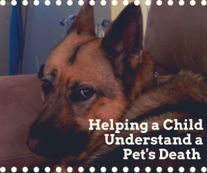 An image of a dog is the background of this image. There are while dots along the top and the bottom of the image. The title of the picture is on the bottom right and reads "Helping a Child Understand a Pet's Death."