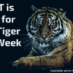 T is for Tiger Week T is for Tiger Week