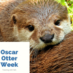 Oscar Otter Week Oscar Otter Week