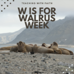 W is for Walrus Week W is for Walrus Week