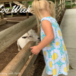 Zoo Week Zoo Week
