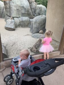 A little girl and a toddler boy (sitting in a stroller) are looking through a glass enclosure at a meerkat and a turtle at a zoo.