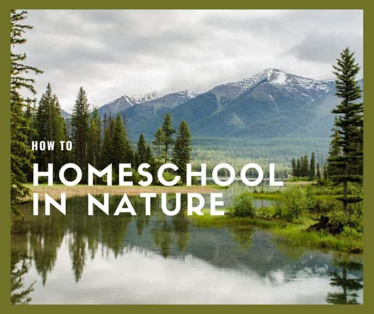 Beautiful mountain landscape with trees and a lake, illustrating outdoor learning preschool activities and how to homeschool in nature.