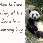 How to turn a day at the zoo into a learning day How to turn a day at the zoo into a learning day