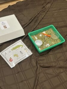 Alphabet-themed sensory bin setup featuring a green tray filled with dry lentils, tweezers, scoops, small cups, and laminated alphabet cards. A box labeled "Alphabet Sensory Bins" and a laminated letter A activity sheet are displayed nearby, highlighting engaging sensory bin products used for early literacy learning and fine motor development.
